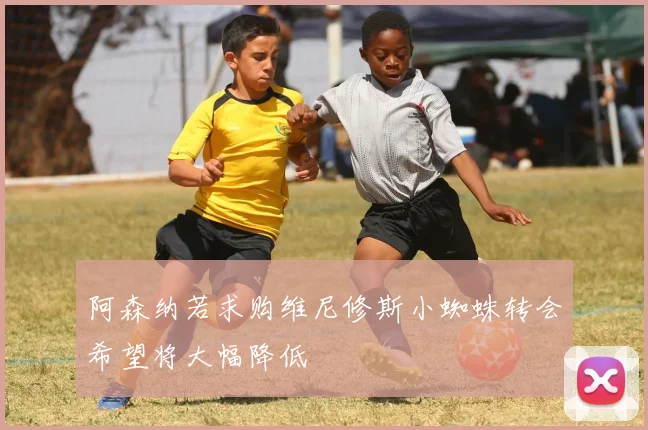 阿森纳若求购维尼修斯小蜘蛛转会希望将大幅降低